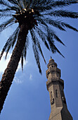 Niedriger Blickwinkel auf das Minarett der Sultan Hassan Moschee und eine Palme mit strahlend blauem Himmel dahinter, Kairo, Ägypten; Kairo, Ägypten