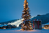 Ein großer geschmückter Weihnachtsbaum vor der Flutlicht-Skipiste, Levi, Lappland, Finnland