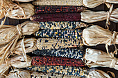 Decorative Dry Sweetcorn Cobs In Los Poblanos Historical Inn And Cultural Center, Albuquerque, New Mexico, Usa