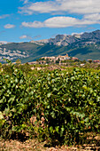 Ansichten der Weinberge und des mittelalterlichen Dorfes Laguardia, Baskenland, Spanien
