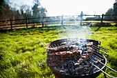 Sardinen/ Cornish Pilchards, Barbecue im Garten eines ländlichen Cottage auf einem Feld in Devon, Großbritannien