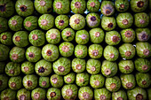 Full Frame Image Of Courgette Vegetable For Sale, Sulaymaniyah, Iraqi Kurdistan, Iraq