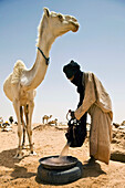 Niger, Sahara-Wüste, Steilhang von Tiguidit; Region Agadez, Tuareg-Nomade tränkt Kamel