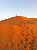 United Arab Emirates, Abu Dahbi, Empty Quarter, Liwa desert dune, Two people on top of sand dune