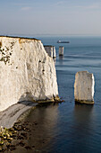 Vereinigtes Königreich, England, Dorset, Cliffs; Studland