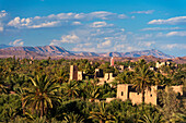 Morocco, seen from roof of Dar Ahlam Hotel; Skoura, Skoura Oasis with old kasbahs rising up above date palms