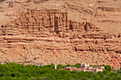 Morocco, Small village; Valley of Roses