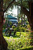 Morocco, View of summer garden; Marrakech