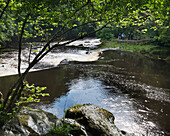 United Kingdom, River Roe or Red River running through Roe Valley Country Park; Northern Ireland