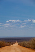 Dirt road; Kenya