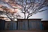Tin shacks; Kenya