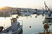 Italien, Marken, Fischerhafen mit verankerten Fischerbooten bei Sonnenuntergang; Porto San Giorgio