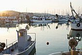 Italy, Marche, Fishing port with anchored fishing boats at sunset; Porto San Giorgio