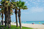 Italy, Marche, palm trees and sea; Porto Sant' Elpidio, White pebble beach with grass