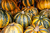 Pumpkins For Sale At Fruteira Colonial Timbauva, On The Road To Santa Barbara Do Sul, Rio Grande Do Sul, Brazil