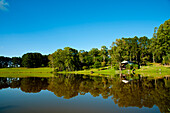Spiegelung von Bäumen in einem Teich in Santa Barbara Do Sul, Rio Grande Do Sul, Brasilien