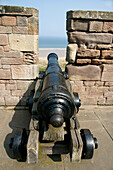 Ornamental Cannons On The Battlements Of Bamburgh Castle, Above Bamburgh, On The Northumbrian Coast; Northumberland, England