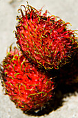 Malaysia, Pantai Cenang (Cenang Strand); Pulau Langkawi, Rambutan Frucht