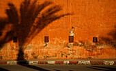 A Shadow Of A Palm Tree On A Wall In The Mellah; Marrakesh, Morocco
