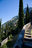 Stufen und Zypressen Alte Stadtmauer,Kotor Montenegro.Tif