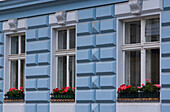 Österreich, Wien, Fenster im blauen Gebäude