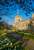 Europa, Vereinigtes Königreich, England, Norfolk, Shipdham Parish Church Spring