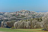 Castle ruin Brennberg, fields and meadows with frozen trees in the Bavarian Forest; Bavaria, Germany