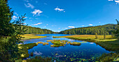 Grassy shoreline with a little stream running into Lake Arbersee, National Park, Bavarian Forest; Bavaria, Germany