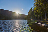 Sunburst over Lake Arbersee in the Bavarian Forest National Park; Bavaria, Germany