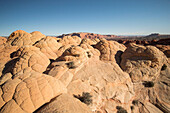 Hirngestein, Sandsteinformationen in den Coyote Buttes North, Paria Canyon, Vermillion Cliffs Wilderness.