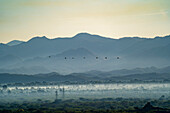 Die Landschaft um einen Stausee mit Vögeln, die über die Wüste fliegen und die Silhouette der Aravali Hills in der Pali-Ebene von Rajasthan; Rajasthan, Indien