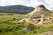 A lone American bison stands in the grass in Lamar Valley.; Yellowstone National Park, Wyoming, United States of America