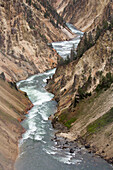 Yellowstone River carves the Grand Canyon of Yellowstone, seen from Artist Point.; Yellowstone National Park, Wyoming, United States of America