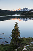 Die Sonne beleuchtet die Berge, die sich im Tioga Lake spiegeln; Inyo National Forest, Kalifornien, Vereinigte Staaten von Amerika