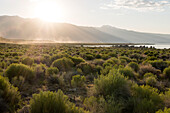 Die Sonne geht hinter den Bergen am Mono Lake South Tufa unter; Mono Lake, Kalifornien, Vereinigte Staaten von Amerika