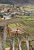 A view to the homes and rices terraces en route to Punakha.; Punakha, Bhutan