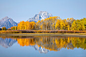 The Grand Tetons in Grand Teton National Park reflecting fall colors in the Snake River; Wyoming, United States of America