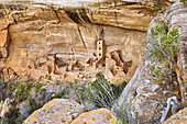 Square Tower House a stone structure carved into the adobe cliffs of the ancient  Pueblos in the Navajo Canyon in Mesa Verde National Park; Montezuma County, Colorado, United States of America