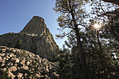 The sun shines through trees next to Devils Tower National Monument, an igneous rock formation.; Devils Tower National Monument, Wyoming