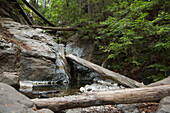 Fallen tree trunks rest on rocks near a freshwater stream.; Big Sur, California