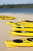 Yellow kayaks are neatly aligned on the sandy shore of the small island Isla Granito de Oro.; Isla Coiba National Park, Panama