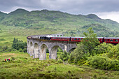 Der durch die Harry-Potter-Filme berühmt gewordene Jacobite Train fährt über das Glenfinnan-Viadukt in Glenfinnan, Schottland; Glenfinnan, Inverness-shire, Schottland