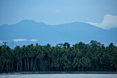 Jungle and shoreline village among coconut palms (Cocos nucifera) with silhouetted mountains in the distance on the coast of Morobe Province; Morobe Province, Papua New Guinea