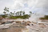 Die Dei Dei Hot Springs auf der Fergusson Insel, D'Entrecasteaux Inseln; Fergusson Insel, D'Entrecasteaux Inseln, Papua-Neuguinea