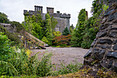 Lush vegetation overgrows a staircase and castle ruins at Armadale, Isle of Skye, Scotland, the home of Clan Donald; Armadale, Isle of Skye, Scotland