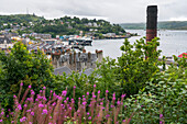 Fähren und Boote und ein Abluftkamin einer Whisky-Destillerie umgeben den Hafen von Oban, Schottland; Oban, Schottland