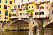 Eine mit Pflanzen bewachsene Terrasse entlang der mittelalterlichen Brücke Ponte Vecchio über den Arno; Florenz, Toskana, Italien