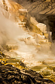 Terraced mineral deposits and steam vapors of Canary Spring at the Mammoth Hot Springs in Yellowstone Natural Park; Wyoming, United States of America