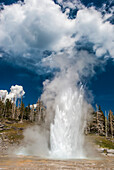 Grand Geyser.