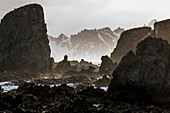 Rock formations on the rocky shore of the Southern Ocean and the snow covered mountains of South Georgia; South Georgia Island, Antarctica